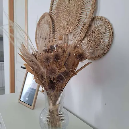 T2 Coeur De - Casa Burot Rochefort (Charente-Maritime)